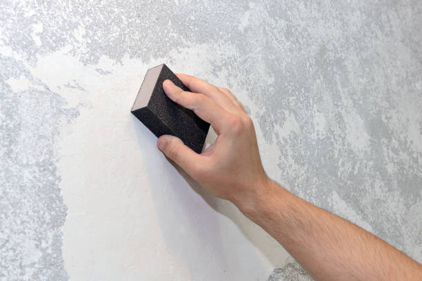 Best Forensic Mold Investigation  in Irondale, GA