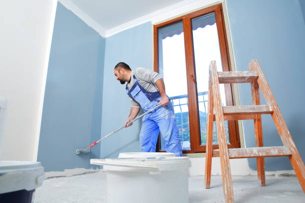 Professional Mold Removal in Irondale, GA