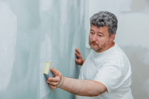 Mold Odor Removal Services in Irondale, GA