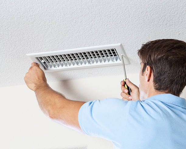 Trusted Irondale, GA Mold Removal Experts